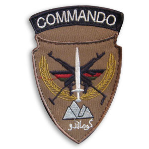 ANA COMMAND PATCH / COYOTE ANA COMMAND PATCH / COYOTE