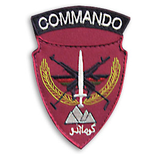 ANA COMMAND PATCH / MAGENTA ANA COMMAND PATCH / MAGENTA